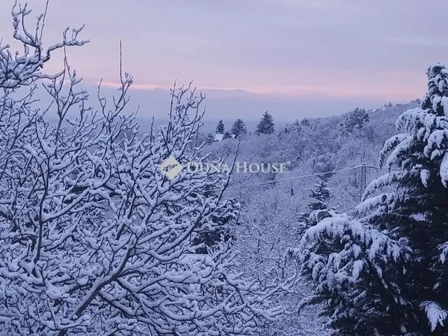 Eladó ház Szentendre 215 nm