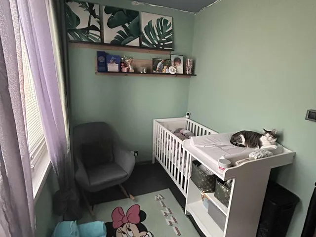 Eladó lakás Budapest XV. kerület, Pestújhely 35 nm