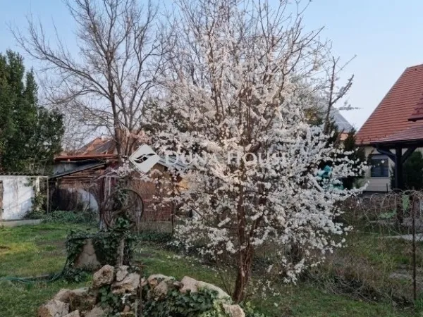 Eladó ház Budakalász 120 nm