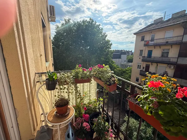 Eladó lakás Budapest XIV. kerület, Istvánmező 52 nm