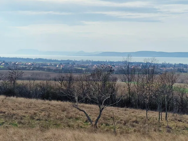 Eladó telek Balatonszárszó 4990 nm