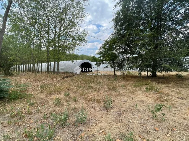 Eladó mezőgazdasági ingatlan Jászszentlászló 128 nm