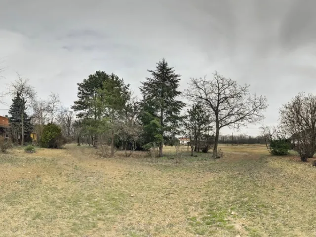 Eladó ház Kecskemét 260 nm