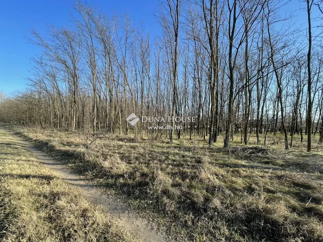Eladó mezőgazdasági ingatlan Kiskunmajsa 93 nm