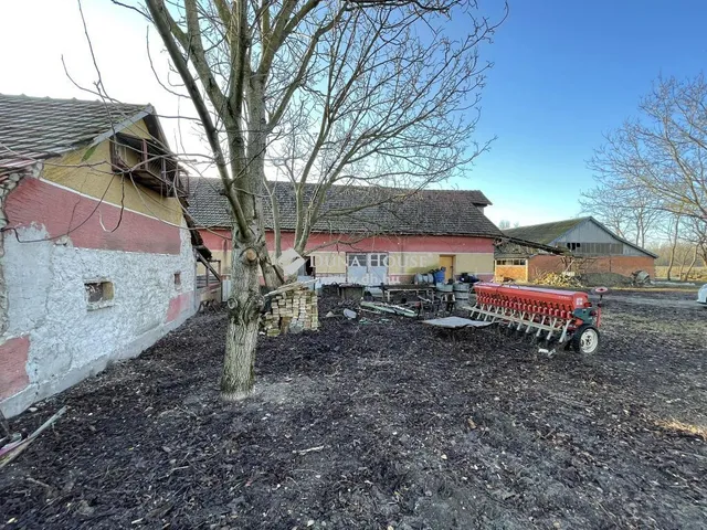 Eladó mezőgazdasági ingatlan Kiskunmajsa 93 nm