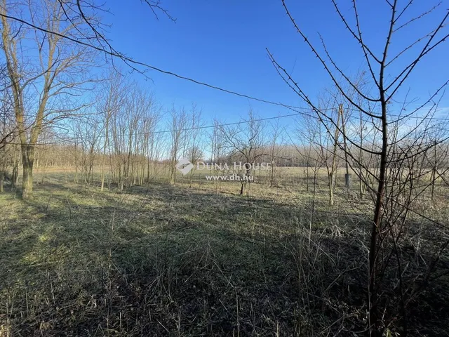 Eladó mezőgazdasági ingatlan Kiskunmajsa 93 nm