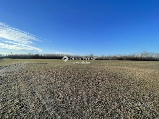 Eladó mezőgazdasági ingatlan Kiskunmajsa 93 nm