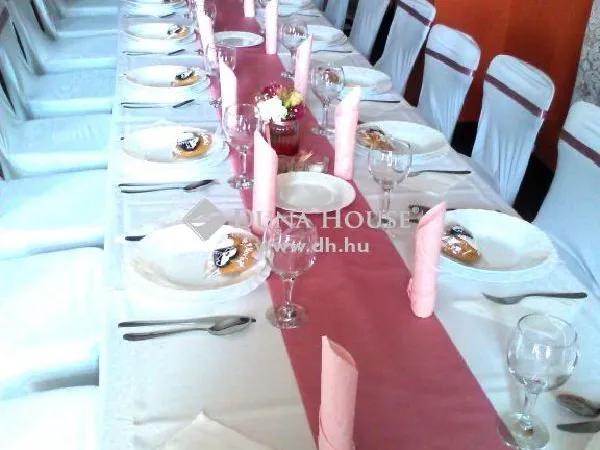 Eladó kereskedelmi és ipari ingatlan Kisszállás 768 nm