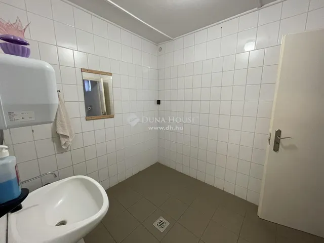 Eladó kereskedelmi és ipari ingatlan Kisszállás 768 nm