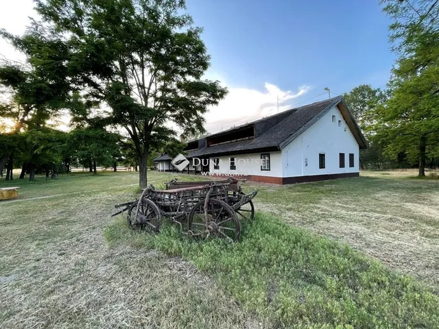 Eladó ház Fülöpháza 360 nm
