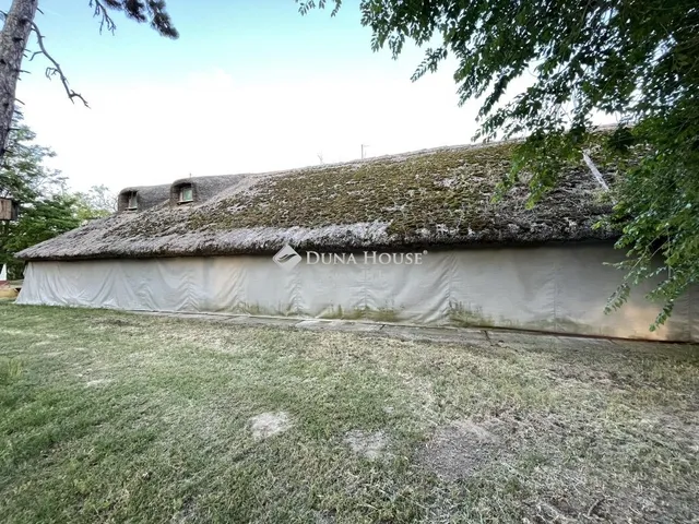 Eladó ház Fülöpháza 360 nm