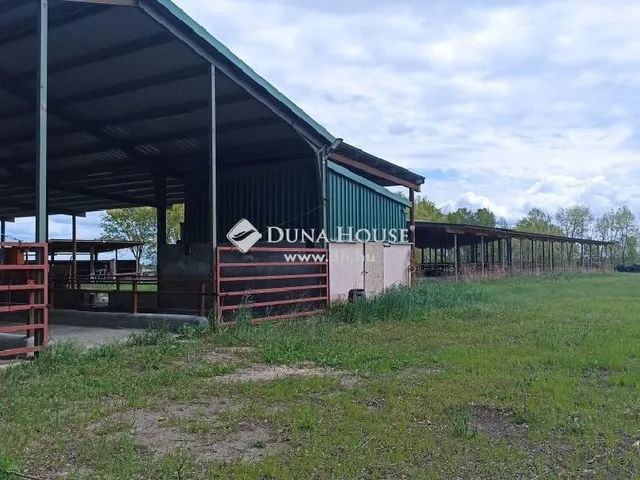 Eladó mezőgazdasági ingatlan Kocsér 170 nm