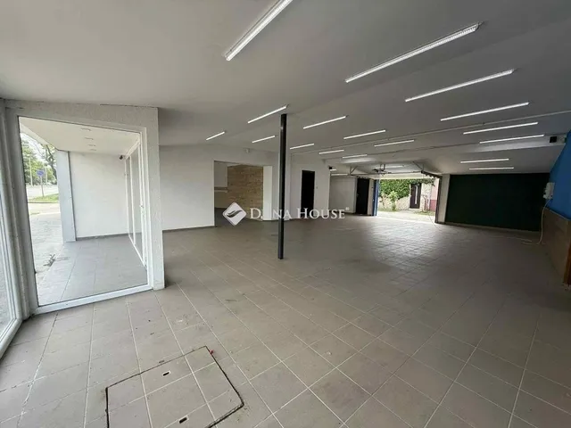 Eladó ház Kecskemét 333 nm