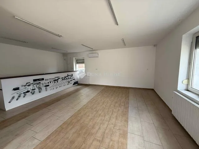 Eladó ház Kecskemét 333 nm