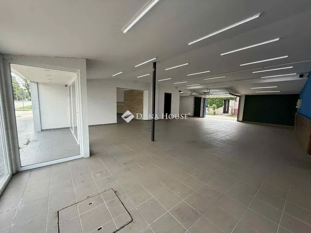 Eladó ház Kecskemét 333 nm