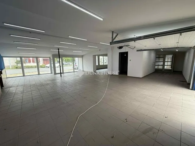 Eladó ház Kecskemét 333 nm