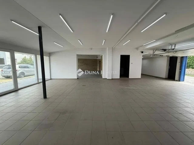 Eladó ház Kecskemét 333 nm