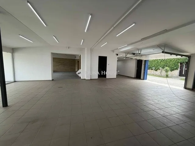 Eladó ház Kecskemét 333 nm