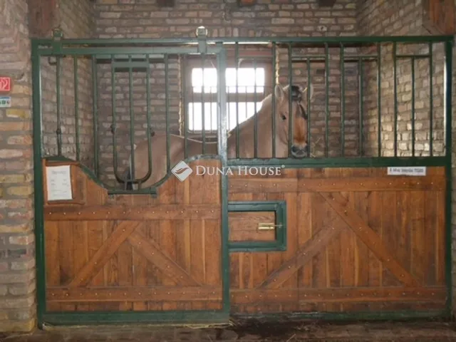 Eladó ház Nőtincs 3535 nm