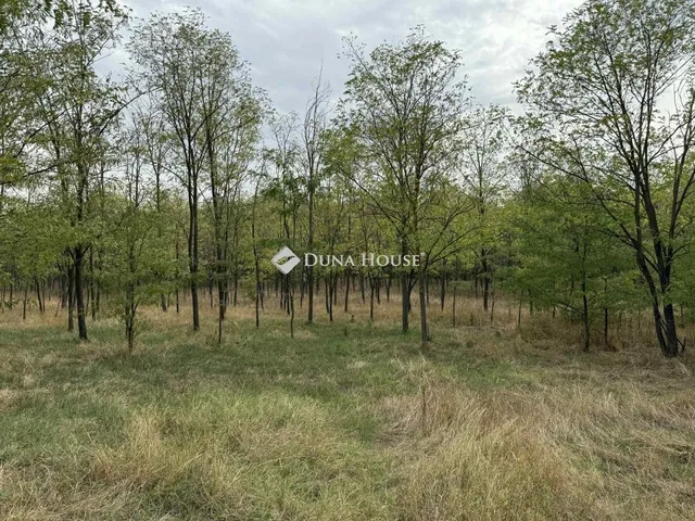 Eladó mezőgazdasági ingatlan Kunadacs 93 nm