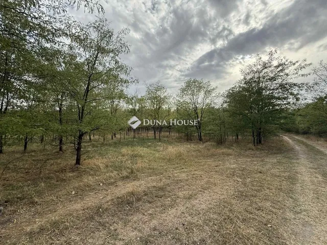 Eladó mezőgazdasági ingatlan Kunadacs 93 nm