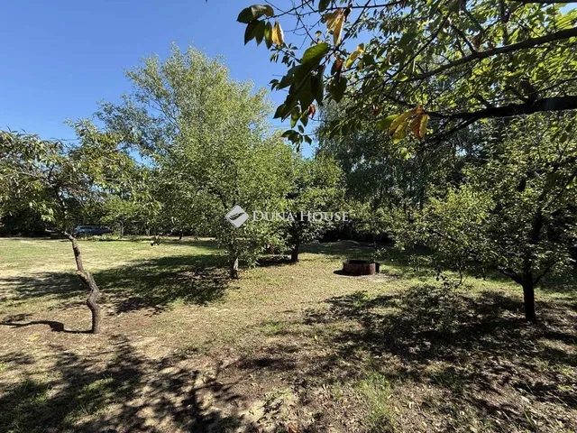 Eladó mezőgazdasági ingatlan Helvécia 40 nm