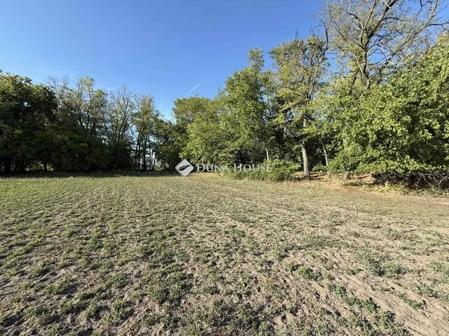 Eladó mezőgazdasági ingatlan Orgovány 100 nm