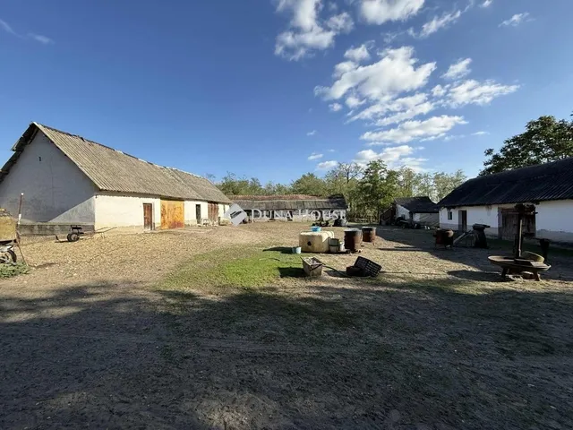 Eladó mezőgazdasági ingatlan Orgovány 100 nm