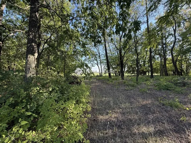 Eladó mezőgazdasági ingatlan Orgovány 100 nm