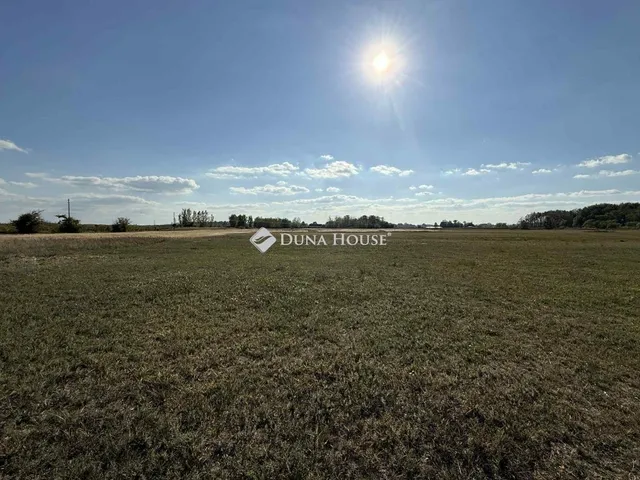 Eladó mezőgazdasági ingatlan Orgovány 100 nm