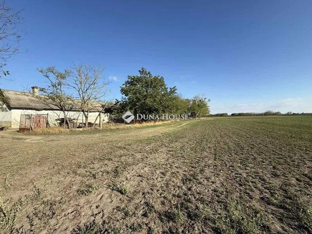 Eladó mezőgazdasági ingatlan Orgovány 100 nm