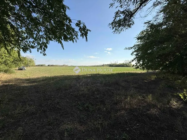 Eladó mezőgazdasági ingatlan Orgovány 100 nm