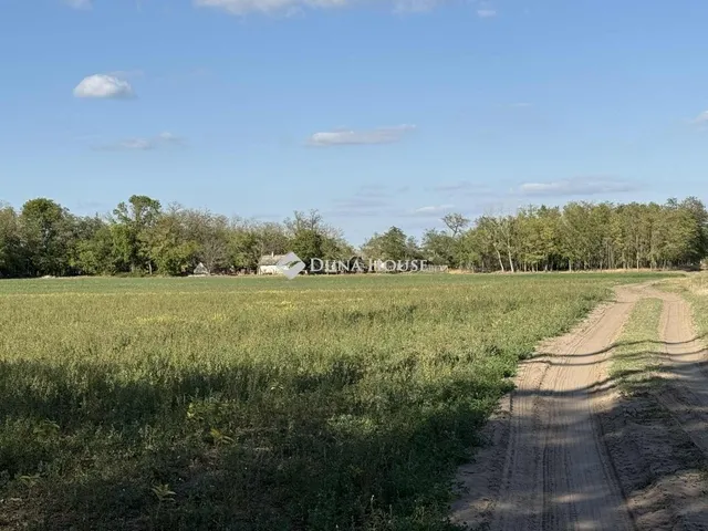 Eladó mezőgazdasági ingatlan Orgovány 100 nm