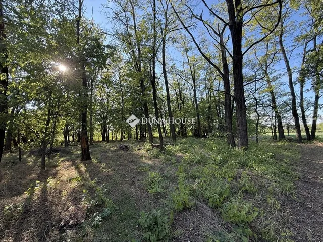 Eladó mezőgazdasági ingatlan Orgovány 100 nm