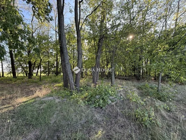 Eladó mezőgazdasági ingatlan Orgovány 100 nm