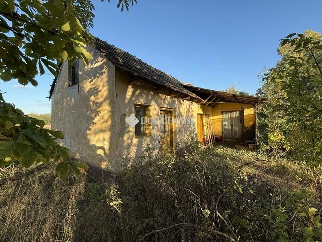 Eladó mezőgazdasági ingatlan Kecskemét 80 nm