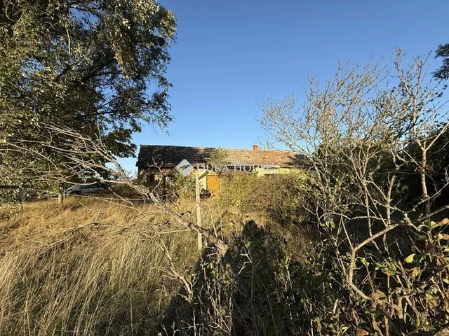 Eladó mezőgazdasági ingatlan Kecskemét 80 nm