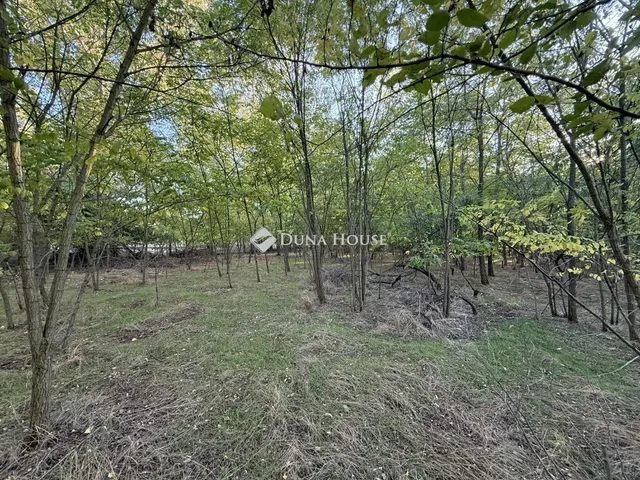 Eladó mezőgazdasági ingatlan Kecskemét 80 nm