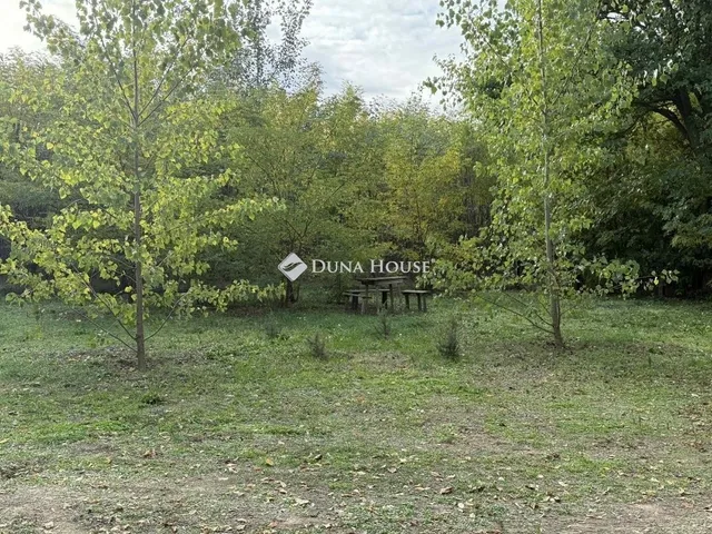 Eladó mezőgazdasági ingatlan Lajosmizse 80 nm