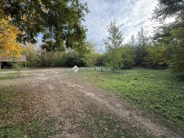 Eladó mezőgazdasági ingatlan Lajosmizse 80 nm