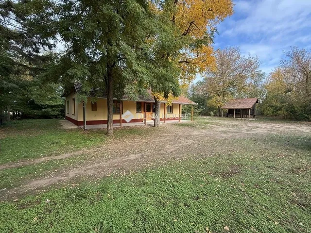 Eladó mezőgazdasági ingatlan Lajosmizse 80 nm