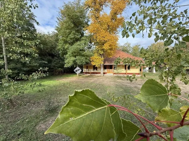 Eladó mezőgazdasági ingatlan Lajosmizse 80 nm