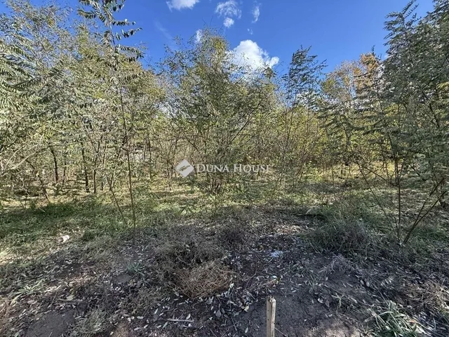 Eladó ház Kecskemét 90 nm