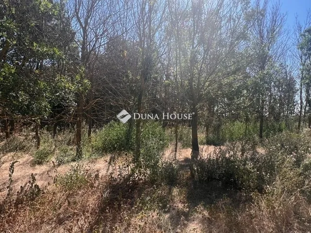 Eladó telek Martfű 100287 nm