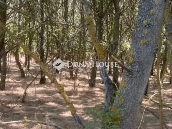 Eladó telek Martfű 100287 nm