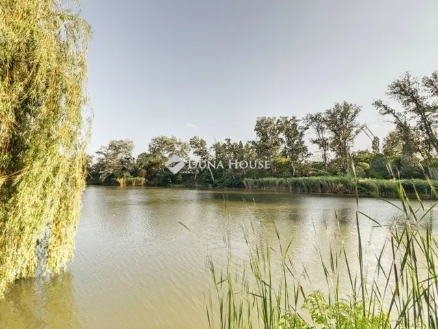 Eladó ház Cibakháza 815 nm