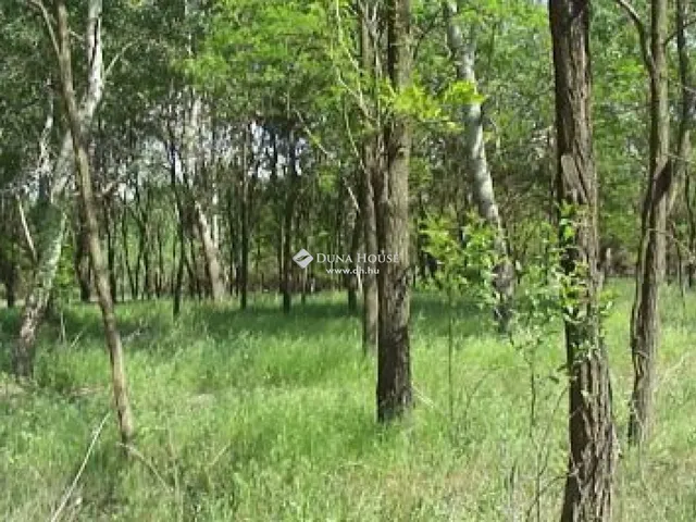 Eladó telek Kistelek 1230596 nm