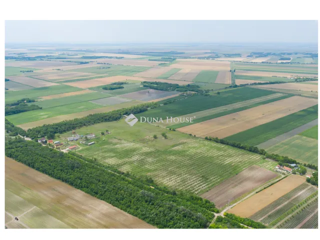 Eladó mezőgazdasági ingatlan Kunadacs 400 nm