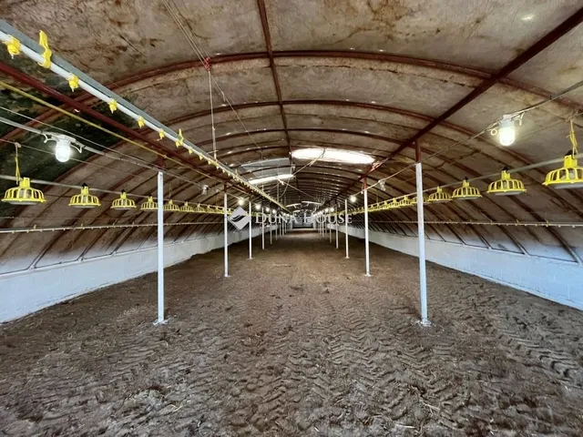 Eladó mezőgazdasági ingatlan Bugac 252 nm