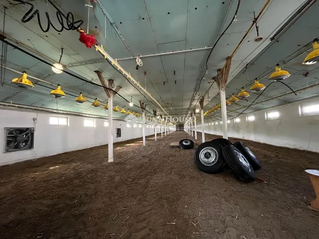 Eladó mezőgazdasági ingatlan Bugac 252 nm